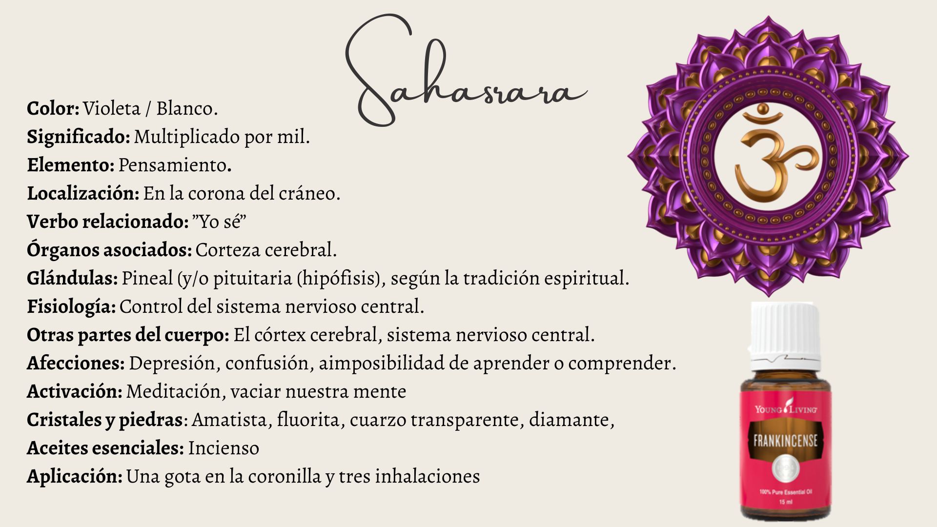 Chakras y Aceites Esenciales Centro Alba Natura