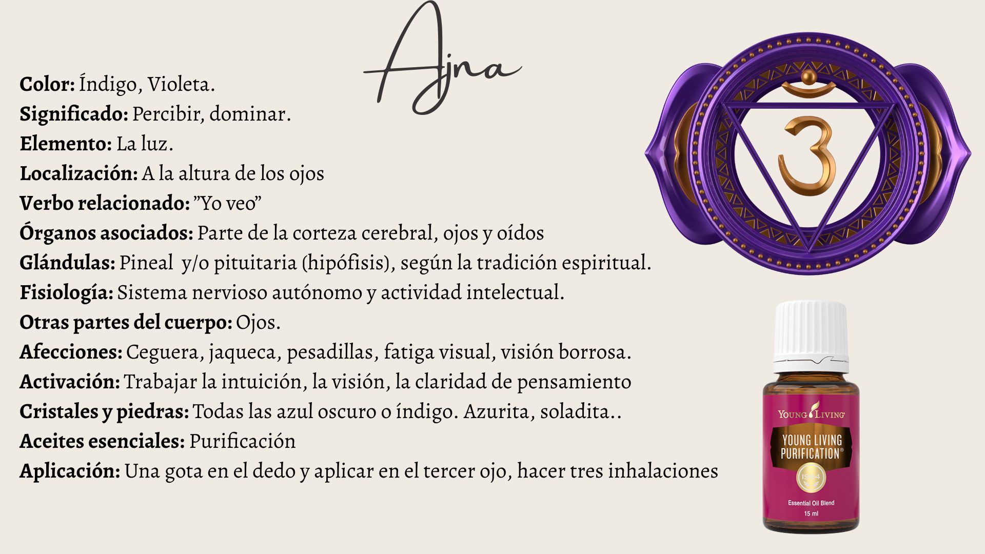 Chakras y Aceites Esenciales Centro Alba Natura